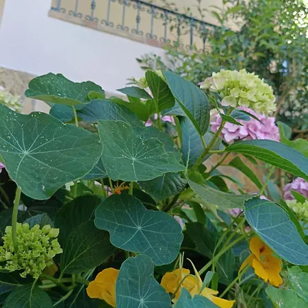 Wabi Sabi By Zara 招待所