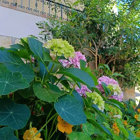 Wabi Sabi By Zara 招待所